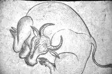 犀利哥的哥作品