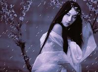 花景因夢 花景因夢