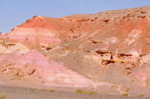 頭屯河組 頭屯河組