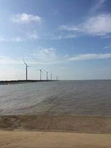 濱海縣振東村 濱海縣振東村