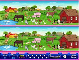 小動物找不同 小動物找不同