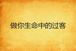 做你生命中的過客 做你生命中的過客