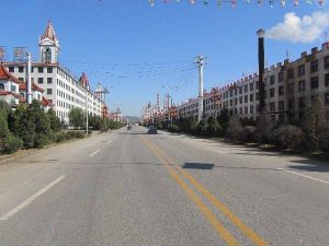 新甸鎮[遼寧省岫巖縣新甸鎮]