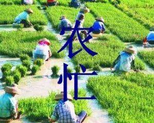 農忙 農忙