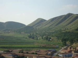 任家自然村 任家自然村