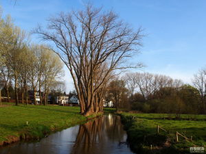 艾恩德霍芬 艾恩德霍芬