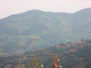 下白河村 下白河村