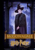 哈利·波特[華納兄弟出品的系列改編電影]