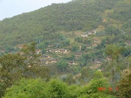 金塘街村 金塘街村