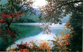 文縣天池國家森林公園 文縣天池國家森林公園