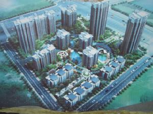 海基悅城國際 海基悅城國際