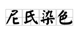 尼氏染色 尼氏染色