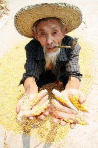 糧食安全[2013年社會科學文獻出版社出版書籍]