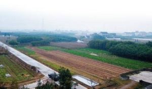 盛家埭遺址 盛家埭遺址