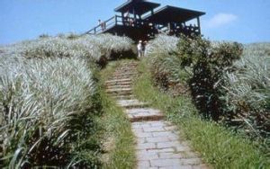 草領古道 草領古道