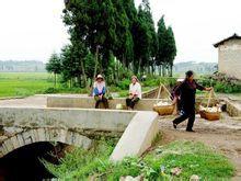 新街子村[雲南省瀘西縣金馬鎮新街子村]