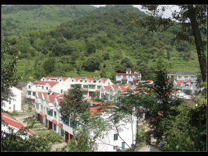 柘坑戴村 柘坑戴村