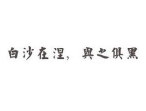 白沙在涅，與之俱黑