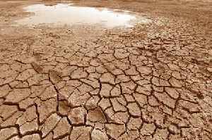 去年入秋以來，西南地區乾旱情況嚴重