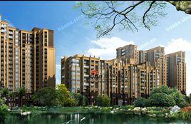 鷺湖國際 鷺湖國際