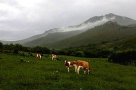 蒙漢情深何忍別,天涯碧草話斜陽 蒙漢情深何忍別,天涯碧草話斜陽