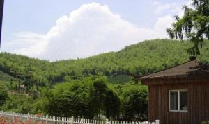 綠野山莊 綠野山莊