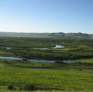 莫爾道嘎國家森林公園