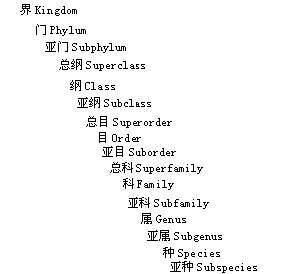 分類階元 分類階元