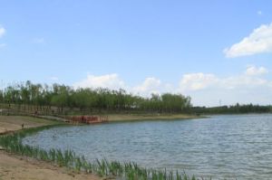 槐房體育公園 槐房體育公園