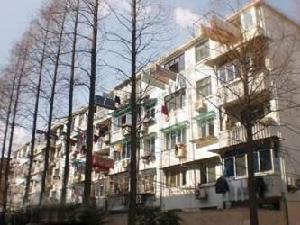 泗塘新村 泗塘新村