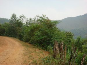 上壩地自然村 上壩地自然村