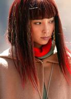 天下無賊[2004年馮小剛執導電影]