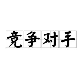 競爭對手[漢語詞語]