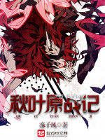 秋葉原戰記 秋葉原戰記