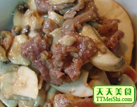 肉片白蘑 肉片白蘑
