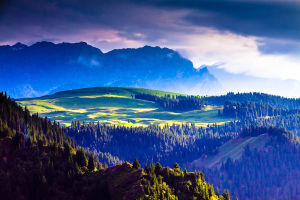 江布拉克 江布拉克