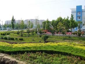 家趙戈莊村 家趙戈莊村