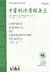 《中華創傷骨科雜誌》