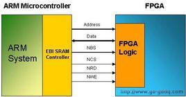 EBI資料庫 EBI資料庫