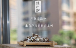 古之極辣木籽 古之極辣木籽