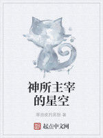 神所主宰的星空 神所主宰的星空