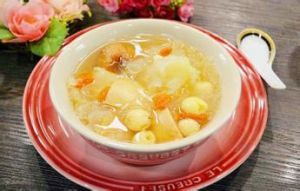 保肺健脾湯 保肺健脾湯