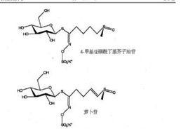 芥子油苷 芥子油苷