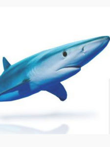 鋸峰齒鮫軟骨粉