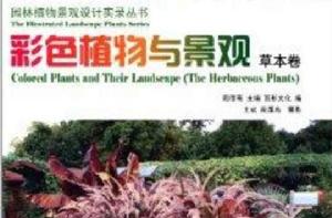 彩色植物景觀 彩色植物景觀