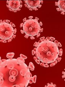 麻疹病毒 麻疹病毒