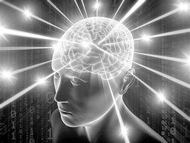 人類腦網路組圖譜