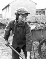 趙春娥[1983年全國勞動模範]