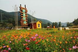 照金牧場 照金牧場