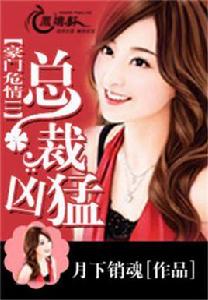 豪門危情Ⅱ:總裁兇猛 豪門危情Ⅱ:總裁兇猛